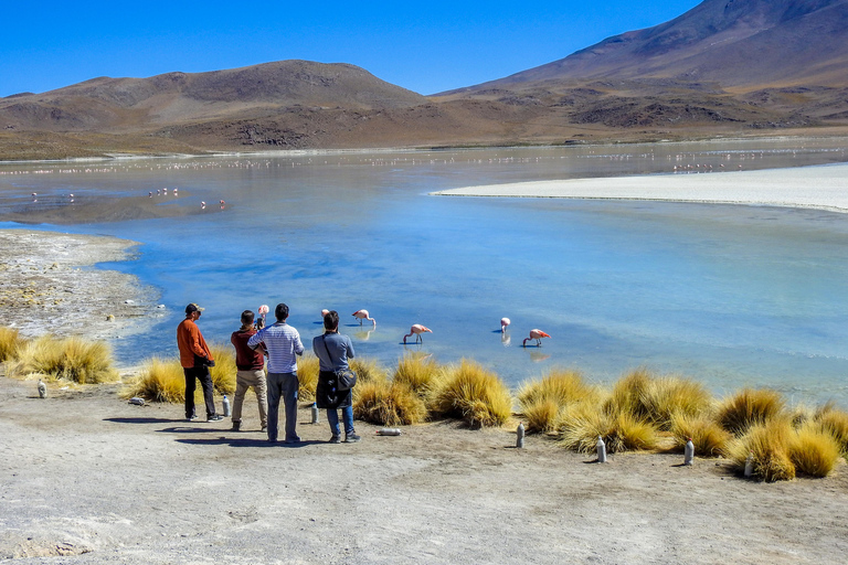3-Day Salt Flats & Altiplano Tour to San Pedro de Atacama ENGLISH TOUR