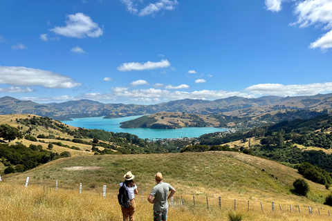 From Christchurch: Akaroa Private Day Trip & Nature Cruise