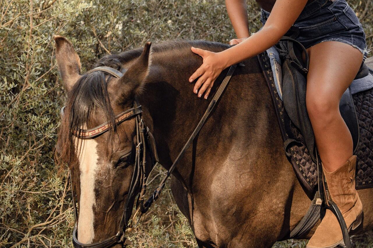 Bordeaux: Private Horseback Riding and Wine Tasting & Picnic