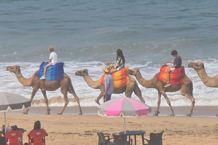 Tangier Private Tour: Explore And Camel Ride Adventure