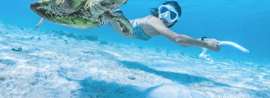Île de Miyako : excursion de plongée avec tuba pour observer les tortues de mer