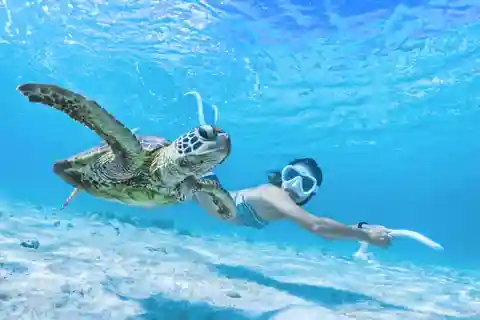 Miyako island: Sea Turtle Snorkeling Tour