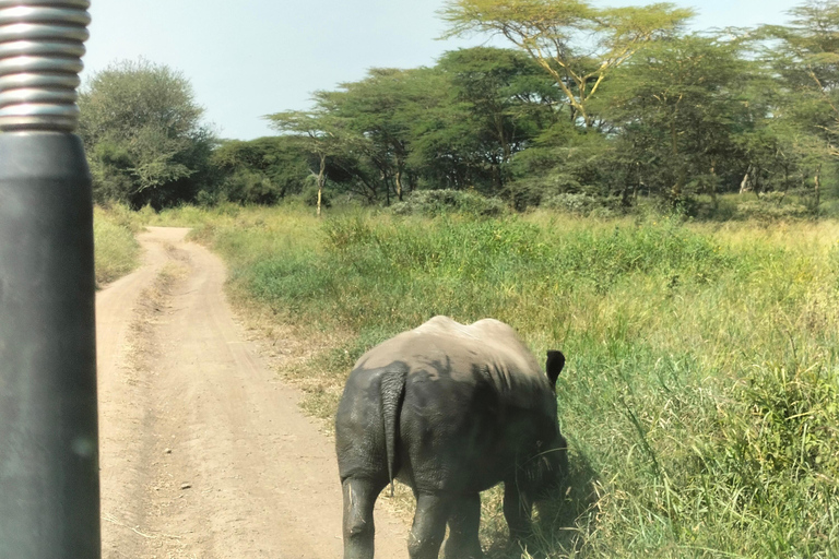 Nairobi: 3-Day Safari to Ol Pejeta and Ol Jogi Conservancies