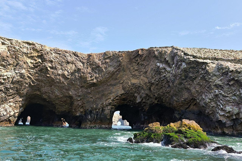 DESDE LIMA: DÍA COMPLETO PARACAS - ICA