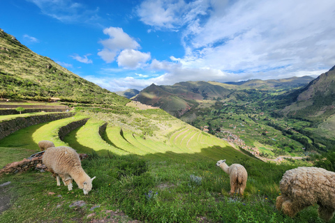 De Cusco: Chinchero, Moray, Maras, Ollantaytambo e Pisaq