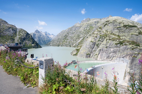Interlaken: Guided Bus Tour with Swiss Locals