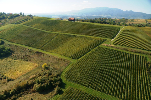 From Zagreb to Varaždin: Market, Food &amp; Winery Tasting TourPrivate Tour from Zagreb to Varaždin: Market, Food &amp; Winery
