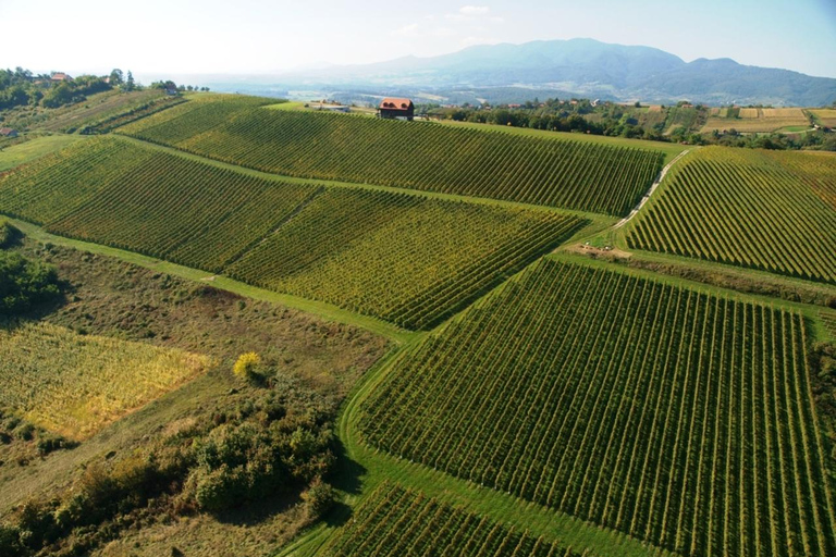 From Zagreb to Varaždin: Market, Food &amp; Winery Tasting TourPrivate Tour from Zagreb to Varaždin: Market, Food &amp; Winery