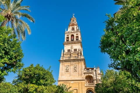 Córdoba: rondleiding joodse wijk en MezquitaGroepstour in het Spaans
