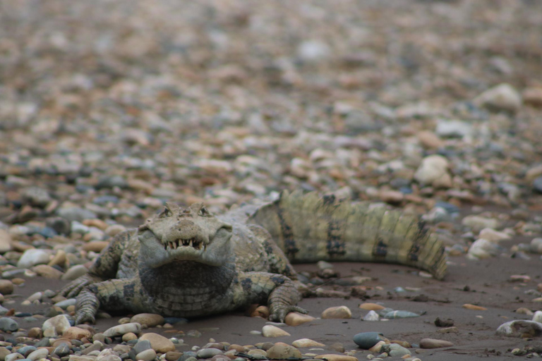 expedicion en bote por el rio tambapata
