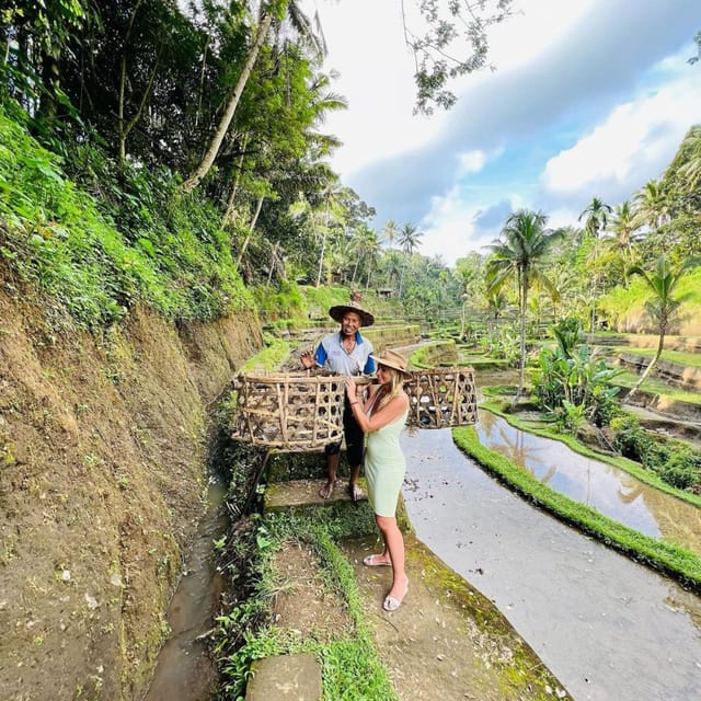 Tur Guide Bali Bali: En İyi Ubud Önemli Noktaları ve Kültürel Özel Tam Günlük Tur ...