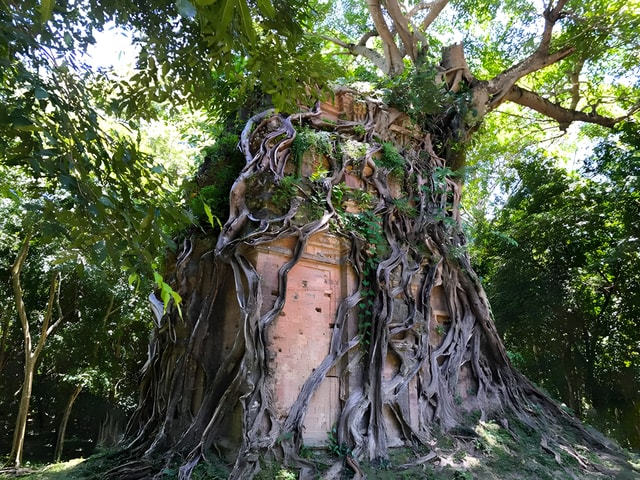 Siem Reap: Sambor Prei Kuk & Preah Khan Kampong Svay Tour