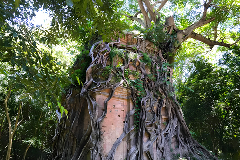 Siem Reap: Sambor Prei Kuk & Preah Kan Kampong Svay Tour