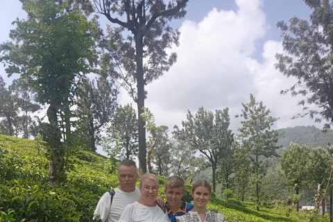 Kandy: Ambuluwawa, Pinnawala & Tea Factory by Tuk Tuk