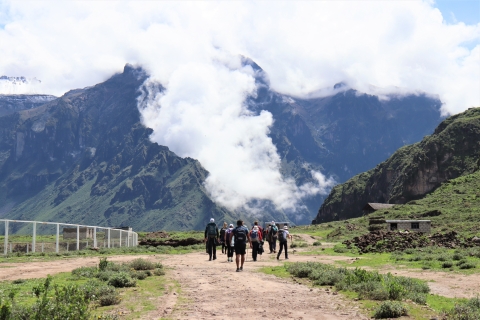 Desde Arequipa: Excursión de día completo al Cañón del Colca