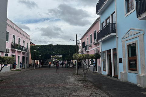 Old Town World Heritage: Historical Tour with a Local Guide