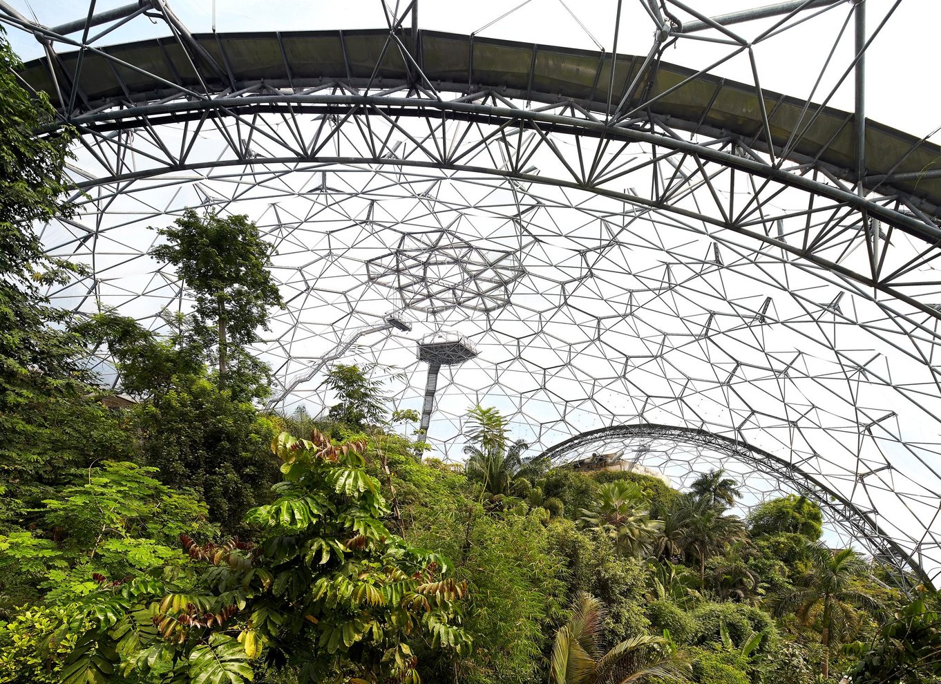 Cornwall: Eden Project entrébillet