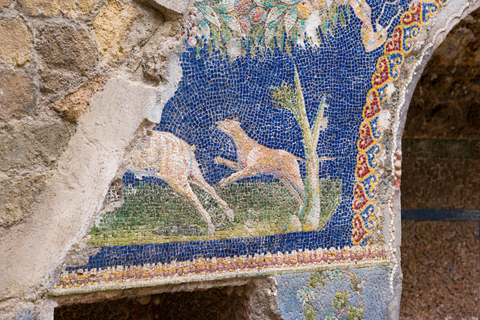 Sorrento: Herculaneum Guided Tour with entry ticket