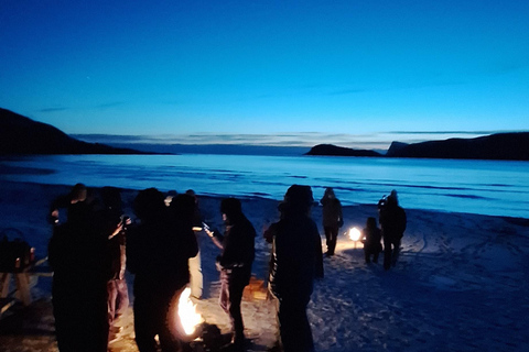 Tromsø: Scenic Fjords & Islands Roadtrip with guide & snacks Tromsø: Scenic Fjords & Islands Roadtrip 6 hours