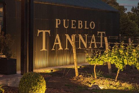 From Colonia: Pueblo Tannat Winery Experience Wine & Cheese Tasting