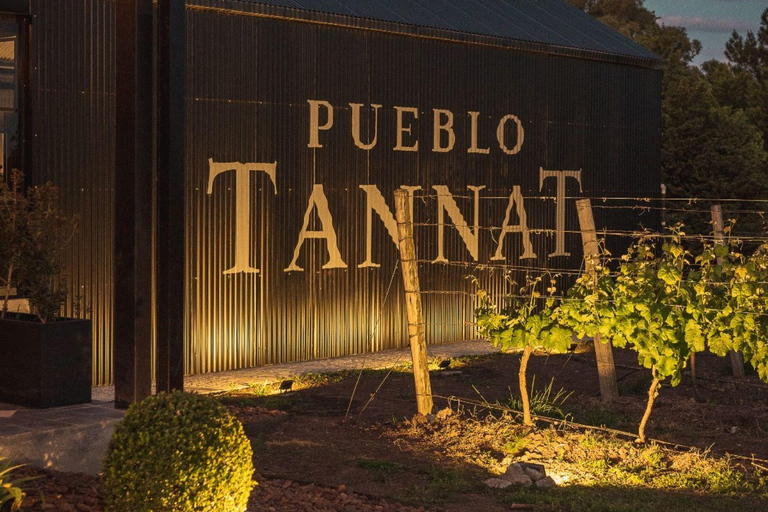 From Colonia: Pueblo Tannat Winery Experience Wine & Cheese Tasting