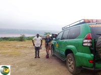CHIMPANZEA GORILE DE 6 días Gorilla Golden Monkey & Game Drive Safari - Housity