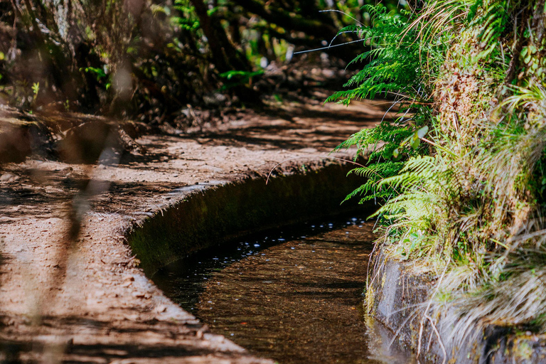 Rabaçal Nature Experience: Alecrim & Lagoa do Vento Hike