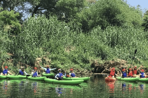 Los Angeles: Guided Kayak Tour on the LA River