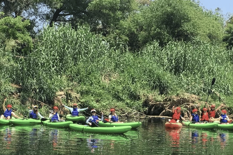 Los Angeles: Guided Kayak Tour on the LA River