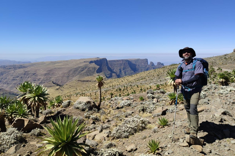 Nordäthiopien erkunden: 17-tägige Tour