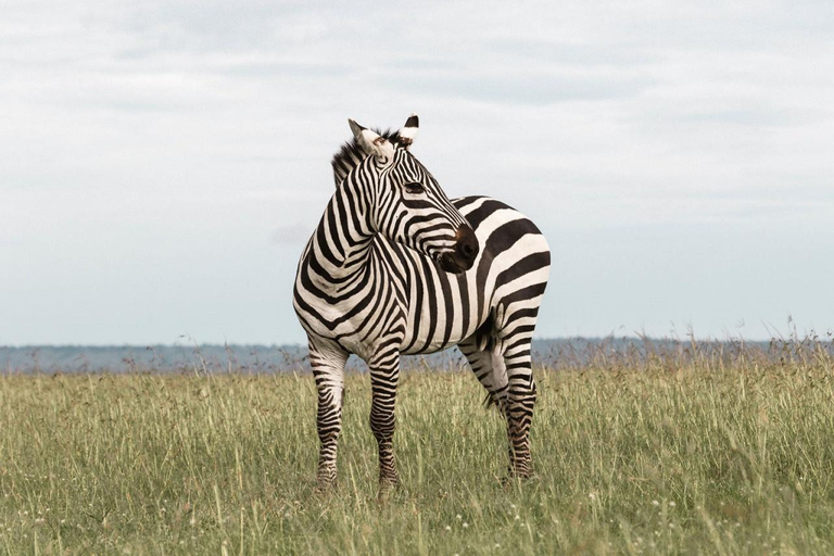 Parque nacional de Nairobi Orfanato de elefantes y Centro de jirafas