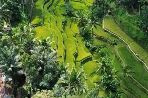 Ubud: Customised private day trip with personal driver