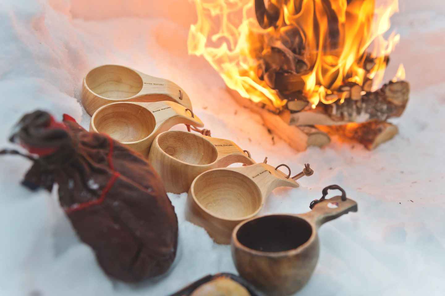 From Stockholm: Moose & Wildlife Safari with Campfire Dinner