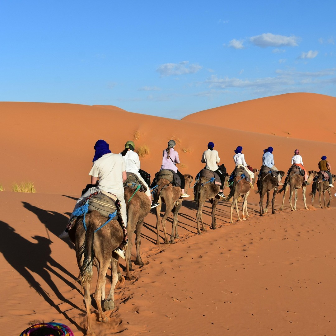 Depuis Marrakech : 3 jours dans le Sahara avec repas et camp - dromadaire
