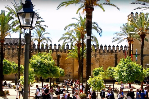 Da Siviglia: Tour di un giorno a Córdoba e alla Moschea CattedraleCordova: tour della città e della grande moschea da Siviglia