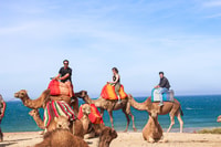 Van Tanger, Full-Day Tanger, Asilah en Cape Spartel Tour - Housity