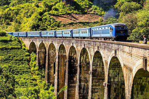 Scenic Highland Journey: Private Transfer from Kandy to Ella
