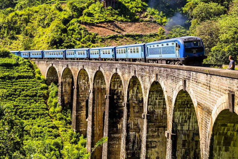 Scenic Highland Journey: Private Transfer from Kandy to Ella
