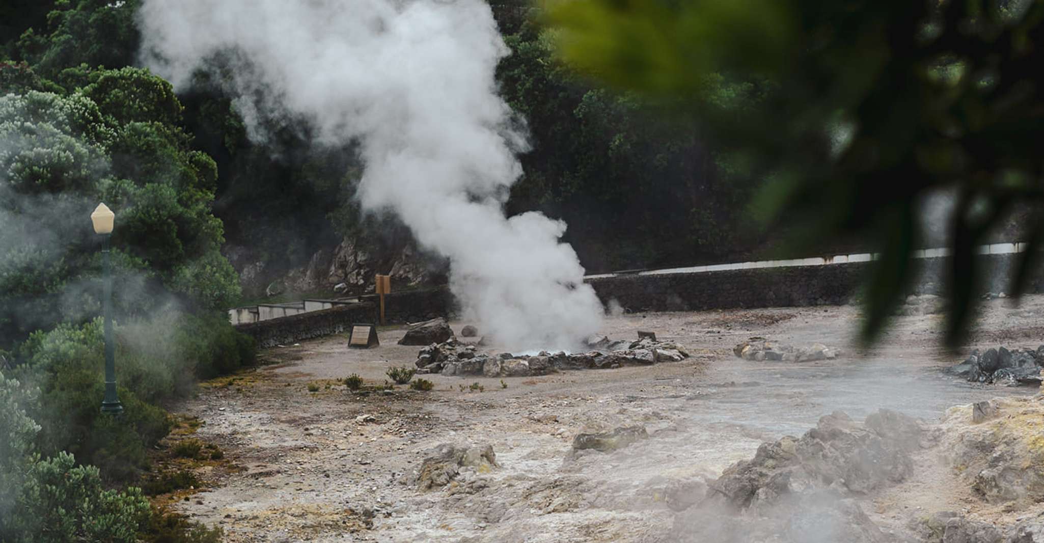 Furnas，Thermal Springs和Tea Plantation Day Tour与午餐