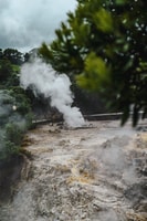 Furnas，Thermal Springs和Tea Plantation Day Tour与午餐 - Housity