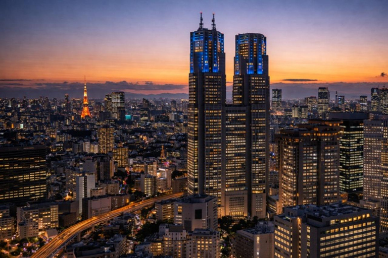 Tokyo City Customizable Guided Tour in Luxury Private Car Tokyo Custom Tour: Private Vehicle & English-Speaking (5)