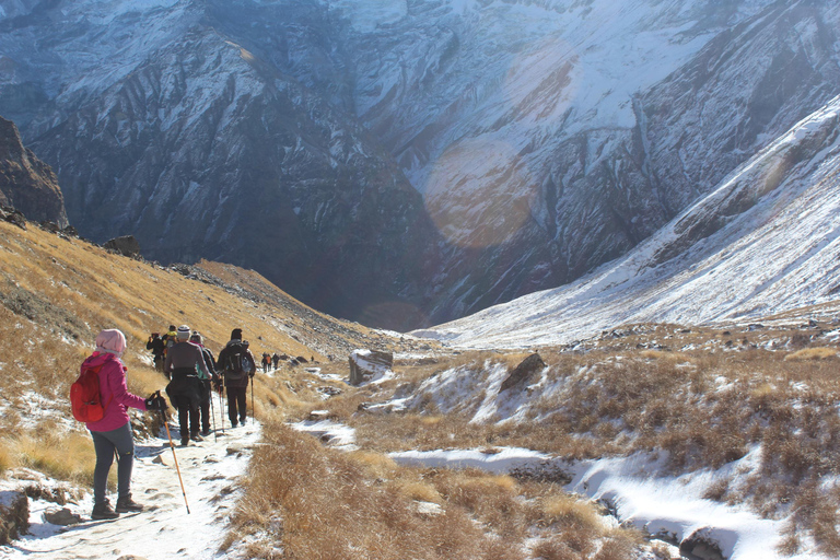 Pokhara: Trekking al Campo Base del Annapurna - 5 Días