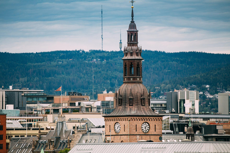 Oslo Old Town Highlights Private Guided Walking Tour 4-hour: Old Town, Oslo Cathedral & National Museum Tour