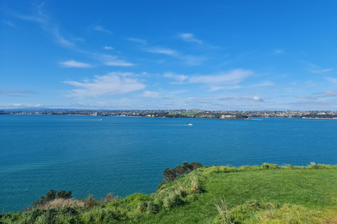 Auckland Stad Hoogtepunten Dagvullende Tour