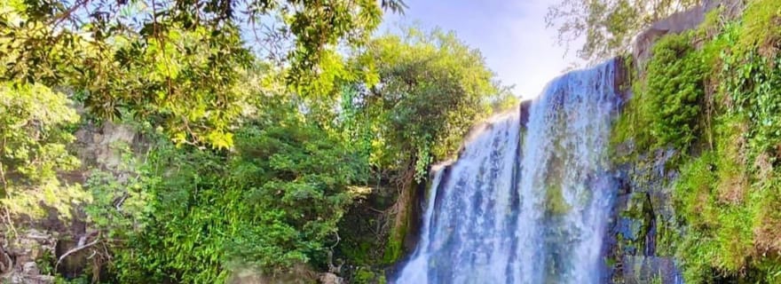 Guanacaste : Excursion d'une journée dans la forêt tropicale, les paresseux et la nature avec déjeuner
