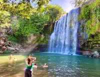 Guanacaste, forêt tropicale, paresseux et excursion d'une journée avec le déjeuner - Housity