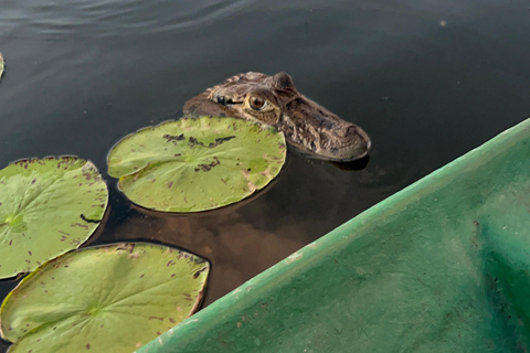 Puerto Maldonado: Pesca privada de piranhas no lago Yacumama