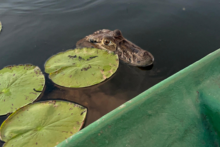 Puerto Maldonado: Pesca privada de piranhas no lago Yacumama