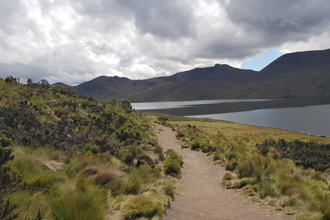 Aventure d&#039;observation du condor : Circuit au départ de Quito