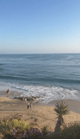 Anaheim City Private Tour - Housity